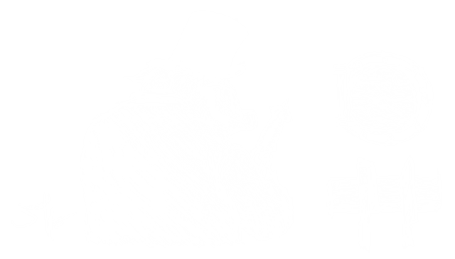 Chef preparing a dish